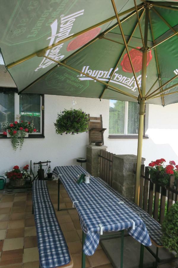 Horsky Pension Gendorf 切尔尼杜尔 外观 照片